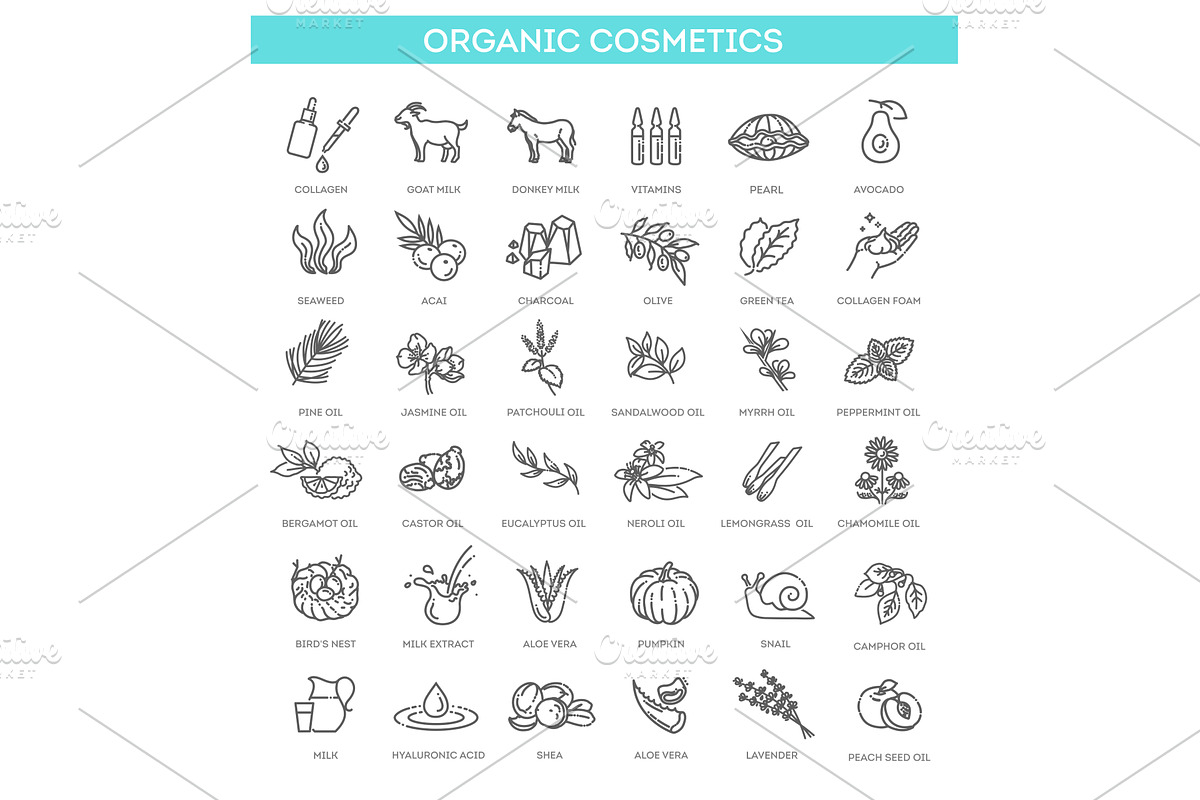 Vector set of natural ingredients, an Illustration by Tettygreen
