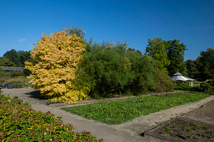 A sunny botanical garden view featuring colorful trees, green bu, a Nature Photo by Imaginarium