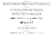 Kellyan Handwriting Brush Font, a Handwritten Font by NTC Graphic (Thumbnail 8 of 9)
