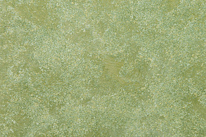 Decorative Stucco Texture