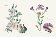 Vintage Flower Illustrations Bundle, an Illustration by Greta Ivy (Thumbnail 43 of 62)