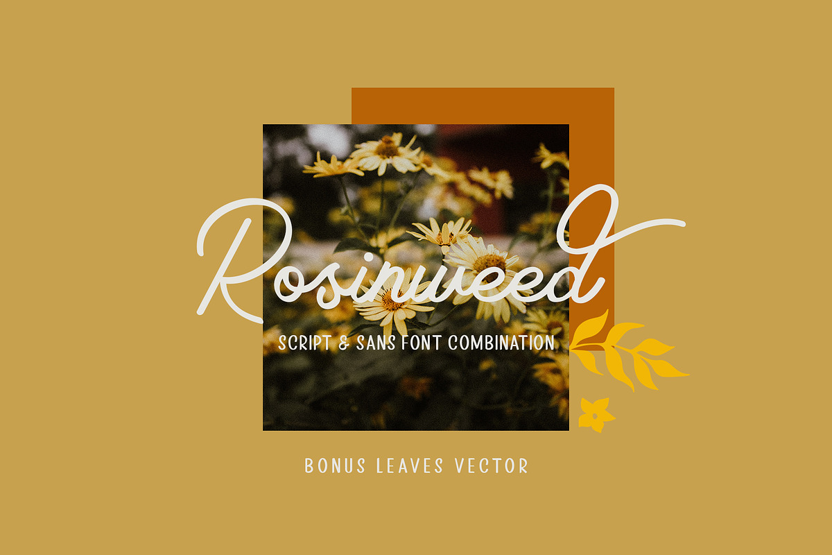 Rosinweed Font ( + Bonus Leaves )