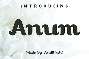 Anum font, a Handwritten Font by artditiastd
