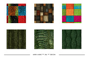 Crocodile or Alligator Skin Patterns, a Pattern Graphic by karenfoleyphoto (Thumbnail 7 of 9)
