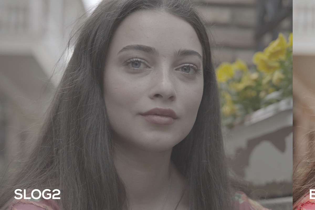 Cinematic Luts (Slog2 & Slog3), a Layer Style Add-On by GeorgeKhelashvili (Photo 8 of 10)