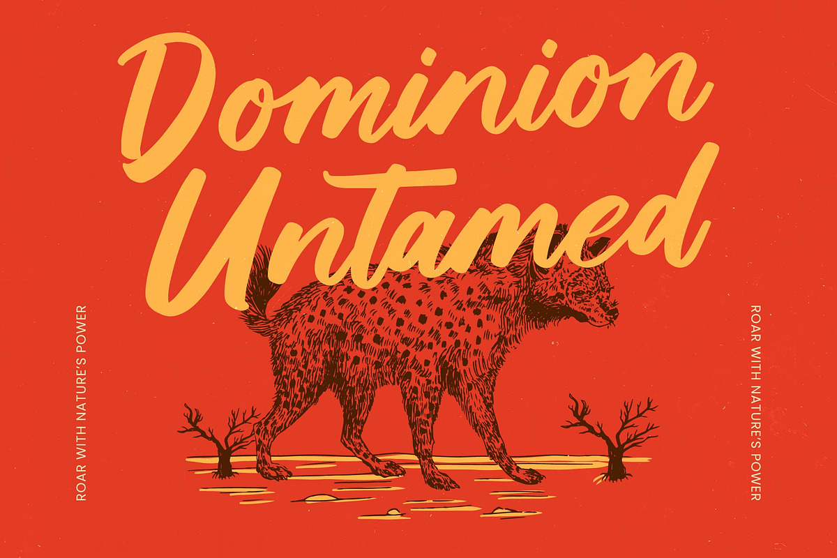 Saddle Nomad Bold Brush, a Script Font by Letterena Studios Script (Photo 13 of 25)