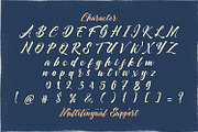 Dayden Batemisy - Brush Script Font, a Script Font by StringLabs (Thumbnail 10 of 11)