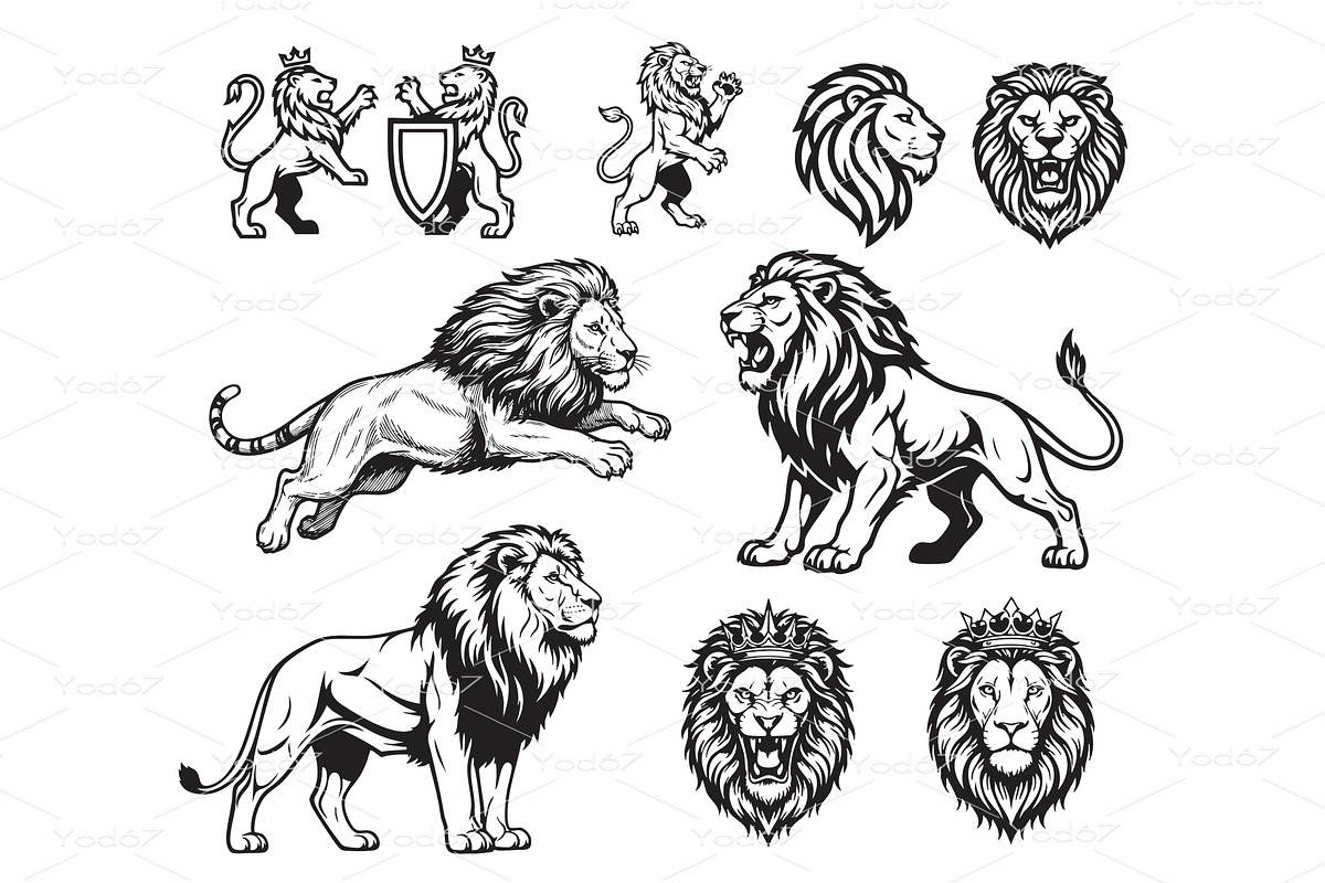 Majestic vector collection of lions, an Animal Illustration by yod67