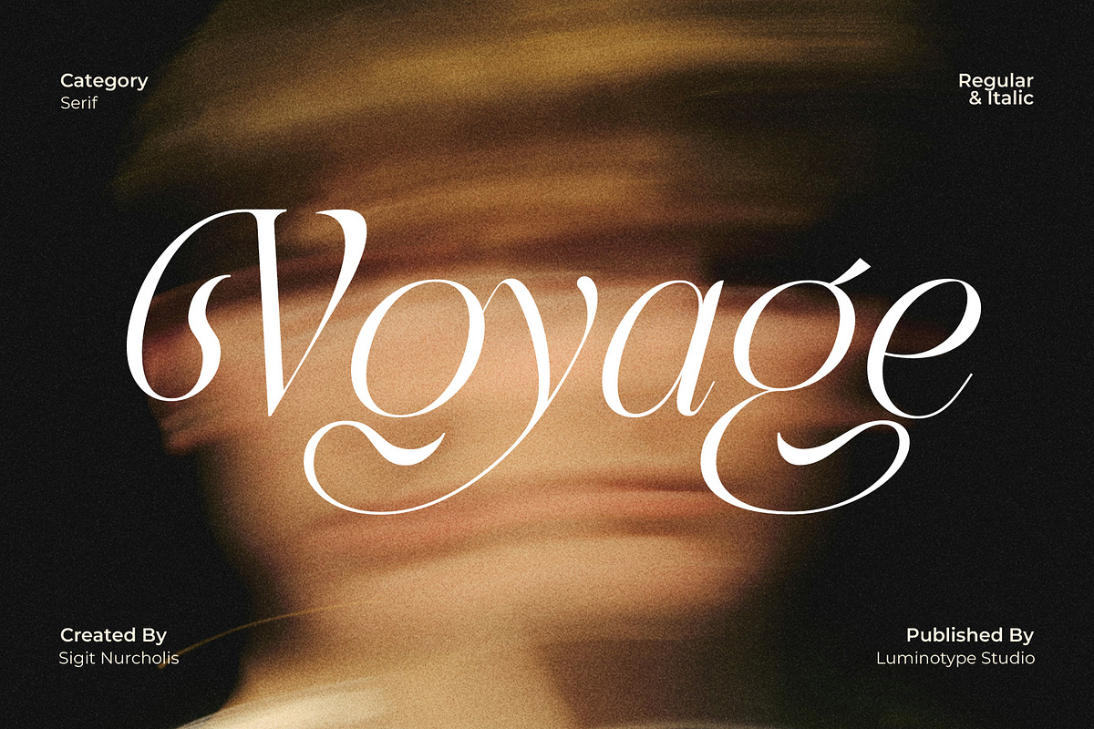 LT Rogile - Modern Serif Typeface, a Serif Font by Luminotype (Photo 13 of 20)