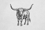 Vintage Longhorn Bull Illustration, an Animal Illustration by lettett (Thumbnail 3 of 3)