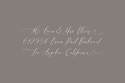 Swaziland Script 25% OFF, a Script Font by Get Studio (Thumbnail 4 of 11)