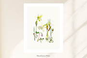 Watercolor Daffodils Floral Wall Art, a Decorative Illustration by MariaScaroniAtelier (Thumbnail 3 of 8)