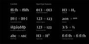 Candide, a Serif Font by Hoftype (Thumbnail 11 of 16)
