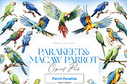Parakeet Clipart, Macaw Parrot PNG, an Animal Illustration by BrushstrokeArtGB (Thumbnail 1 of 9)