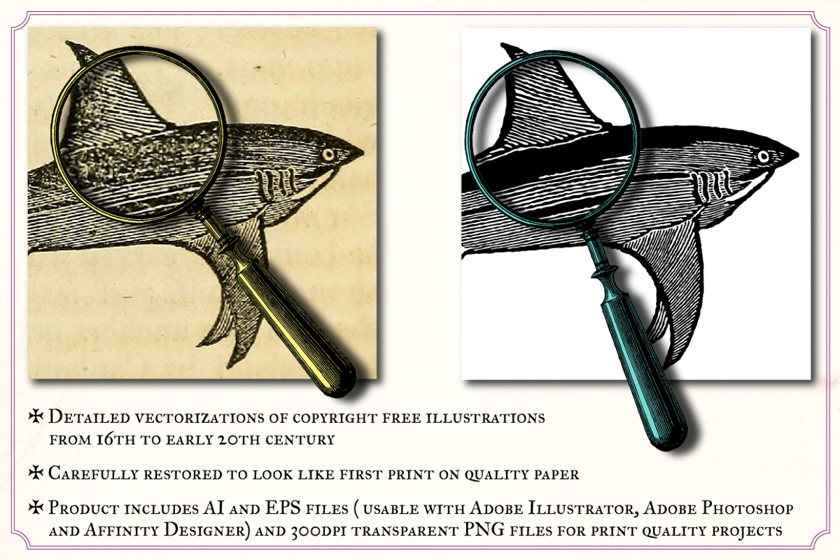 Vintage Nautical Illustrations, a Technology Illustration by Mr Vintage (Photo 2 of 8)