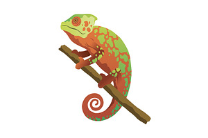Chameleon lizard. Reptiles, an Animal Illustration by Things for designers