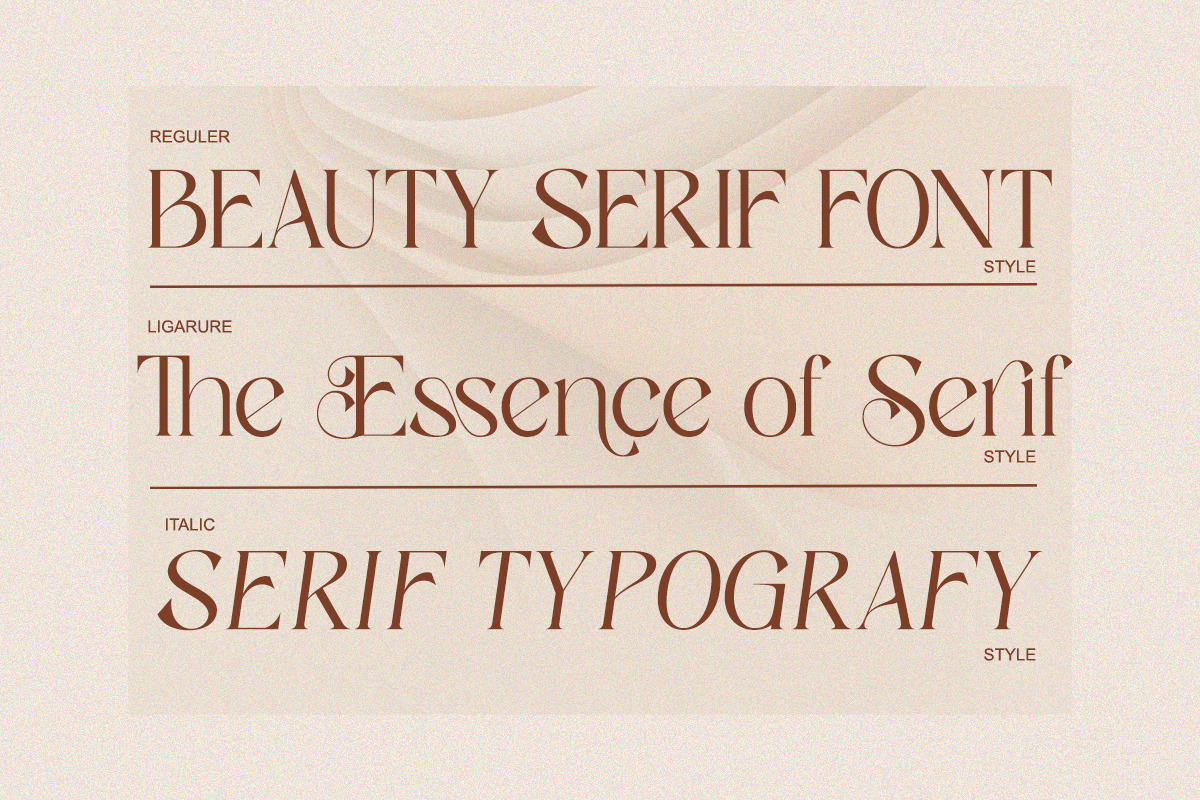 Sassy Born - Modern Elegant Font, a Serif Font by Qweera Studio (Photo 12 of 12)