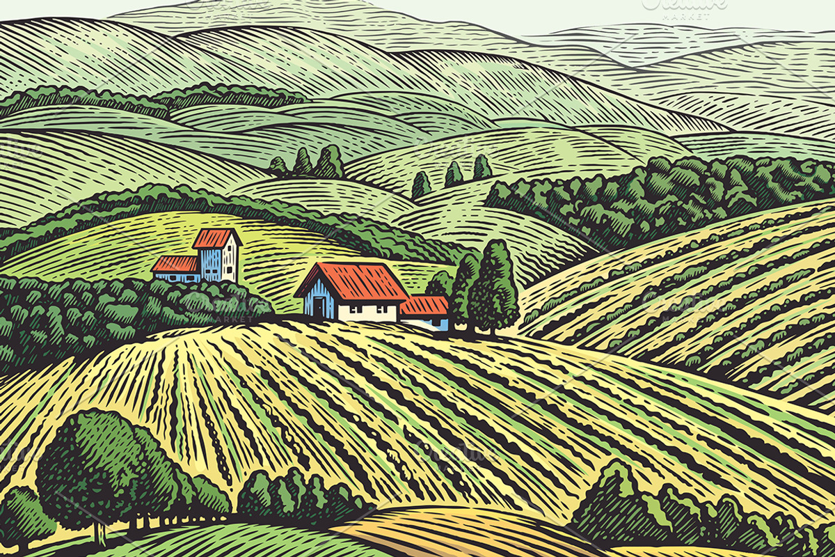 Rural landscapes., a Food Illustration by Countryside life (Photo 6 of 7)