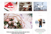 Breviter Pro - handcrafted WP theme, a WordPress Template by designhooks (Thumbnail 2 of 3)