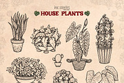 House Plants, an Object Illustration by Ink Stories (Thumbnail 3 of 23)