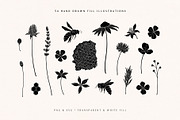 Wild Honey Vector Illustrations, a Decorative Illustration by rouxsupplyco (Thumbnail 6 of 14)