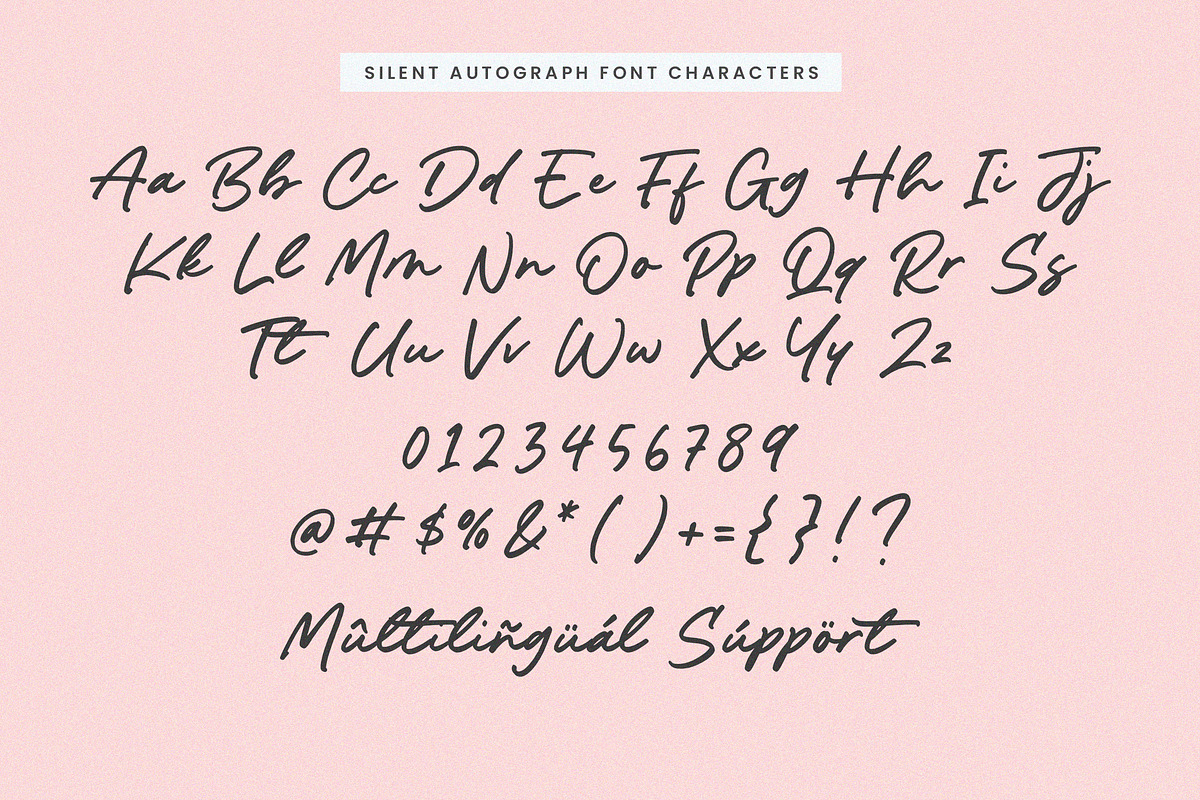 Silent Autograph Font, a Script Font by Timurtype (Photo 6 of 7)