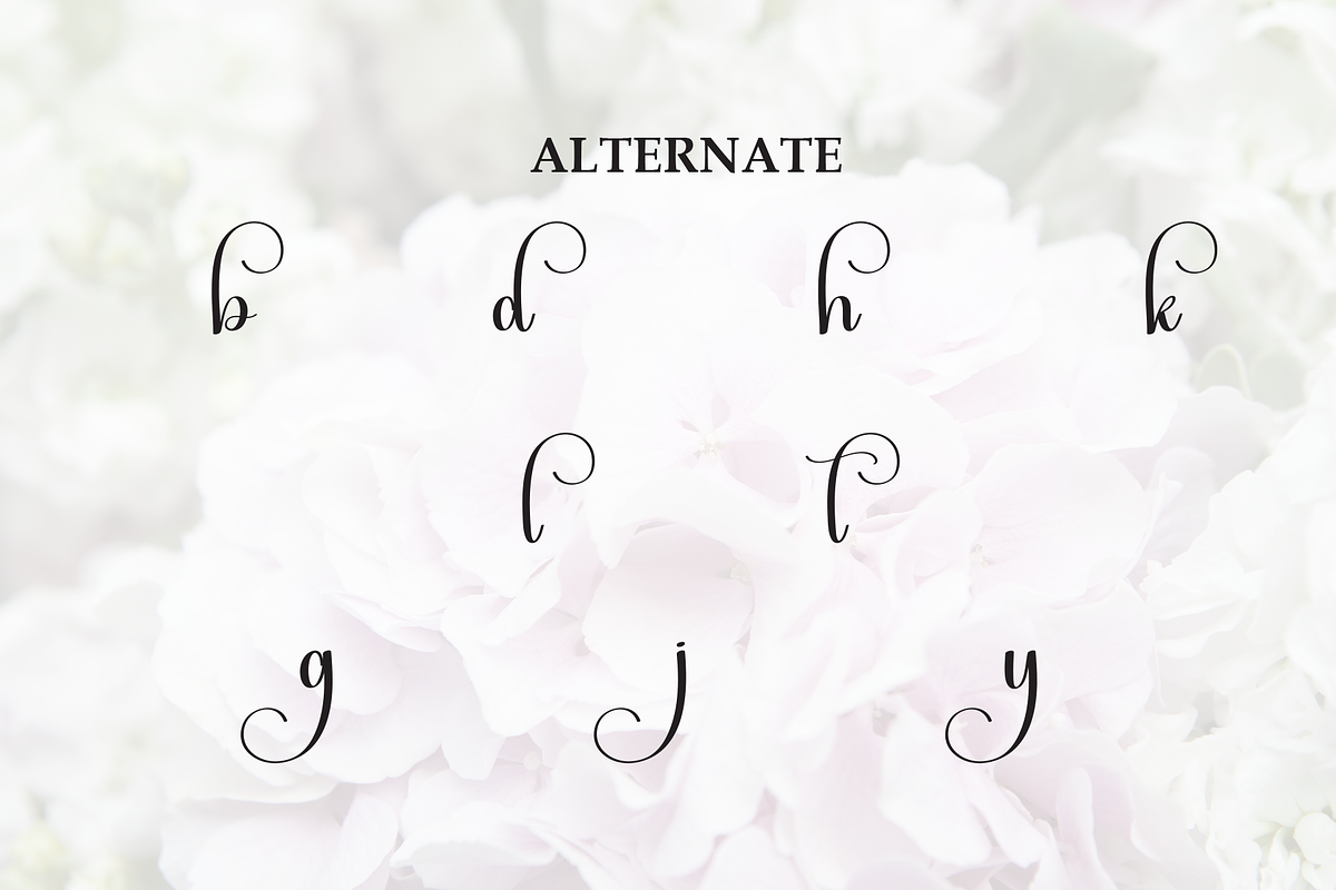 Blushing | Script Font, a Handwritten Font by Scratchones (Photo 8 of 8)