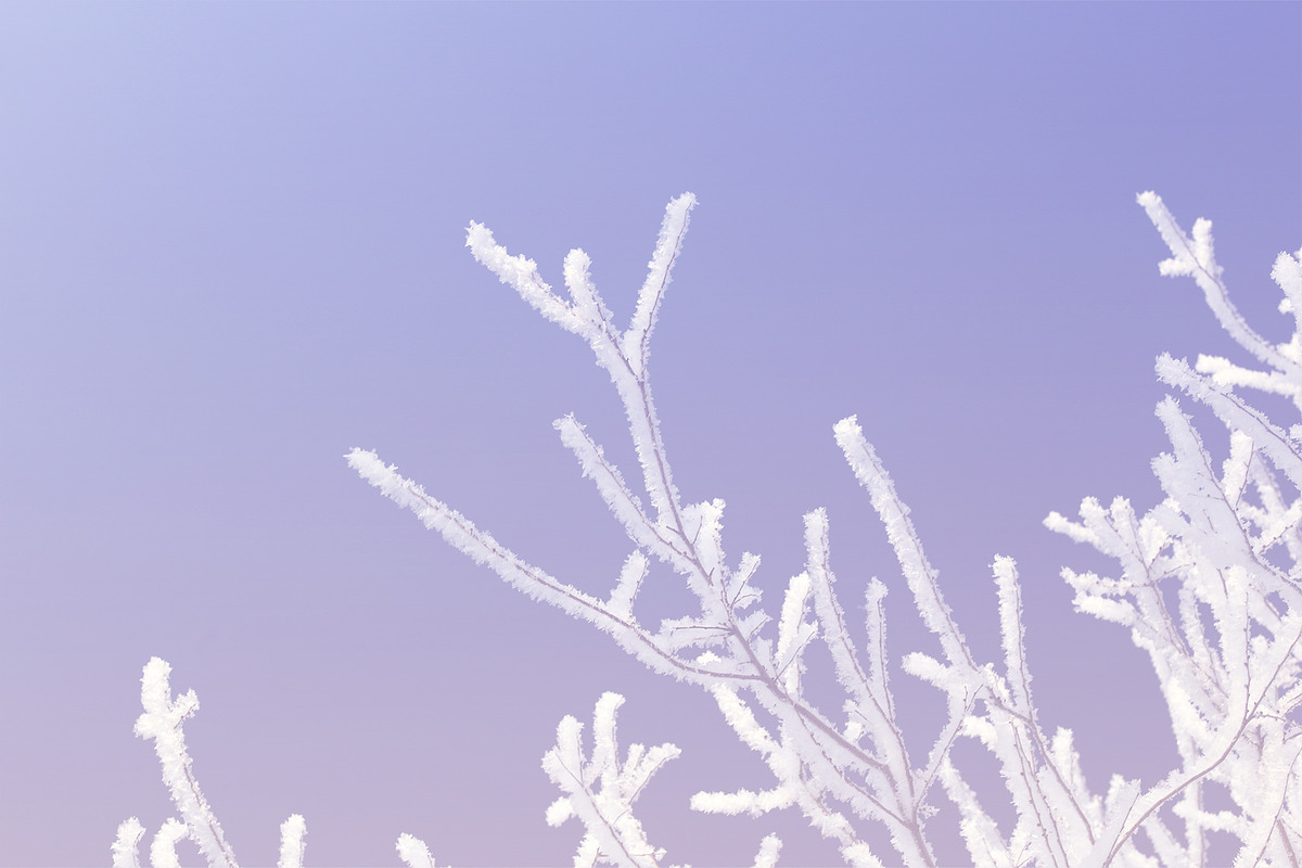 5 Pastel Winter Landscapes, a Background Photo by Fun Fusion Design (Photo 6 of 6)