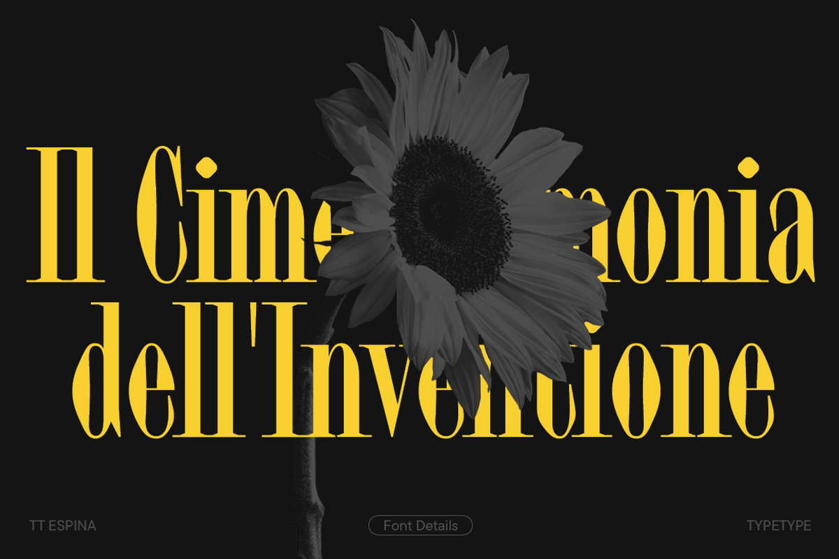 TT Espina, a Serif Font by TypeType (Photo 15 of 15)