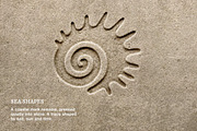 Sea Shapes — 54 Vector Elements, an Object Graphic by Design Squad (Thumbnail 5 of 5)