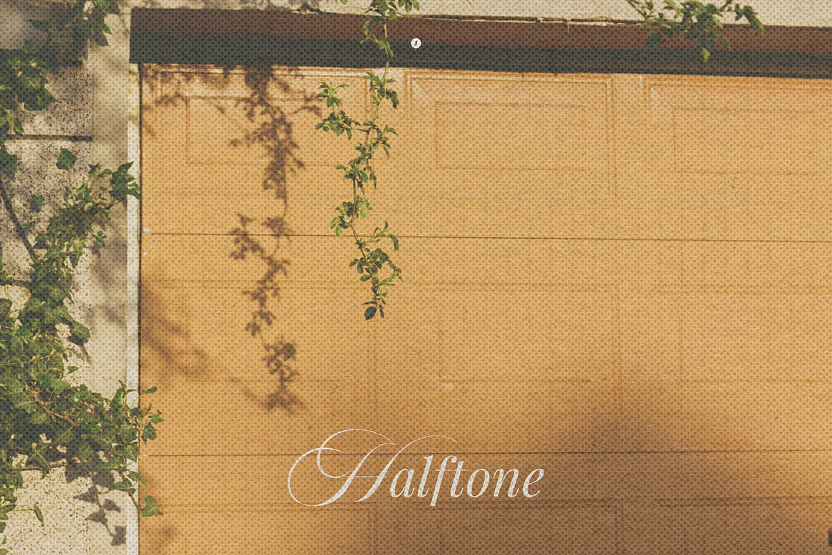 Transparent Halftone Paper Textures, a Texture Graphic by Freezerondigital (Photo 13 of 13)