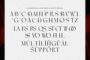 Malves - Elegant Serif Typeface