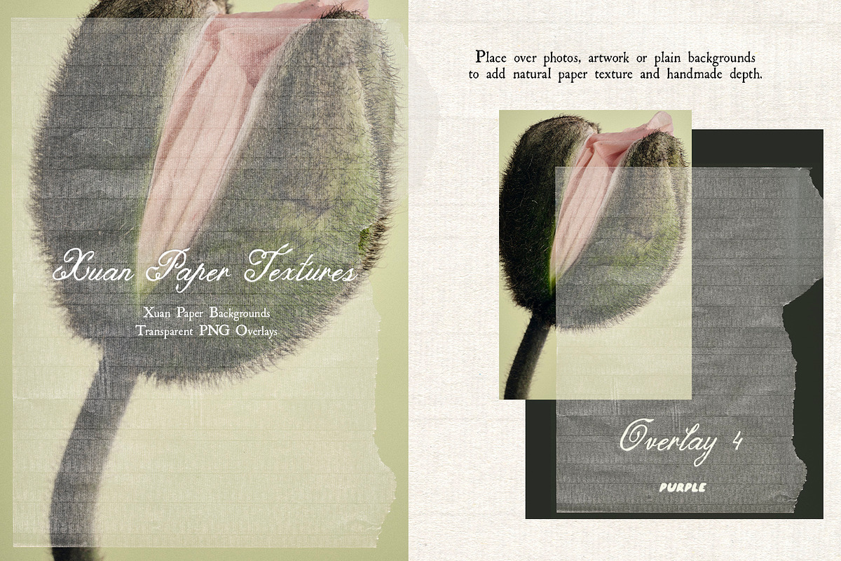 Xuan Paper Textures & PNG Overlays, a Texture Graphic by Purple (Photo 4 of 19)