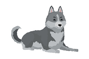 Cute gray wolf pose. Cartoon, an Animal Illustration by the8monkey