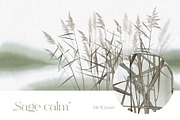 Silent meadow – botanical wall mural, a Wallpaper Graphic by Timofi Art (Thumbnail 10 of 12)