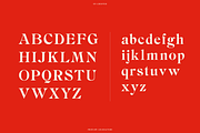 BN Chester - A Unique Serif Font, a Handwritten Font by Bnick (Thumbnail 3 of 10)