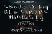 Stylish Christmas, a Handwritten Font by InermediaSTUDIO (Thumbnail 6 of 8)