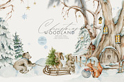 Woodland animals Bundle 2000, an Animal Illustration by 60secondsArt (Thumbnail 4 of 13)