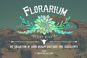 Florarium: vector succulents clipart