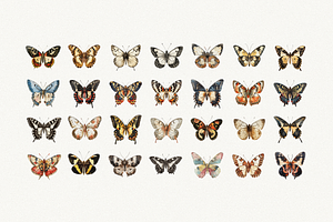 80 Vintage Butterflies Clipart