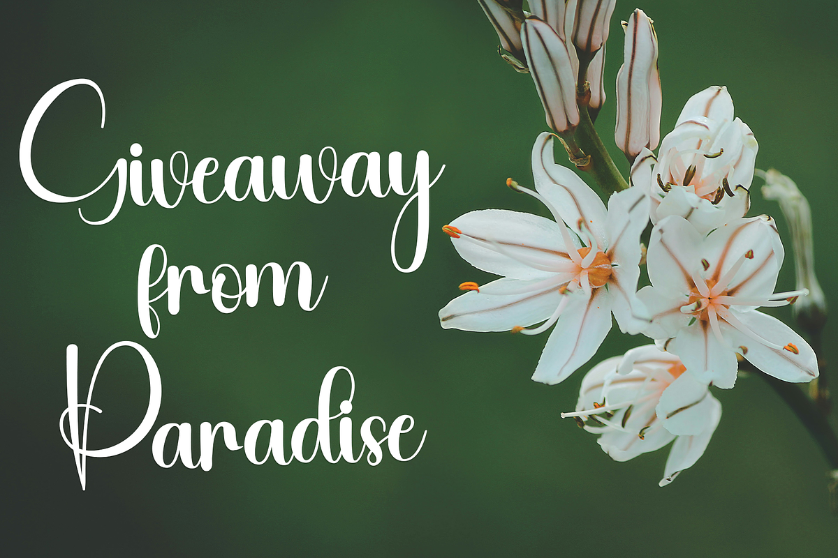 Natural Paradise, a Handwritten Font by FreshTypeINK (Photo 7 of 7)