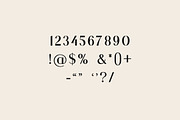 Anthemia Feminine Serif Font, a Serif Font by UICreative (Thumbnail 6 of 12)