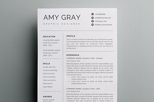 Professional resume template / CV