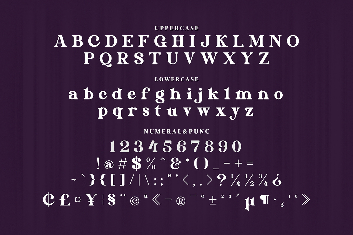 Eriskaw Serif Fonts, a Serif Font by mahstudios (Photo 10 of 10)