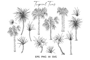 Palm Trees Tropical Vector Plants