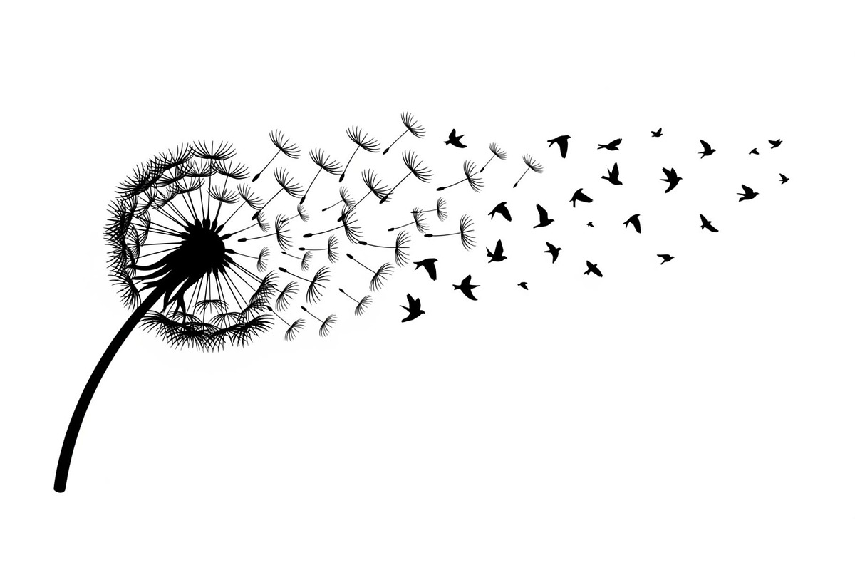 Dandelion Blow Silhouette Bundle, an Illustration by yasushie (Photo 28 of 31)