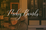 Marithonia Script, a Script Font by JamalCreativeStudio (Thumbnail 3 of 9)
