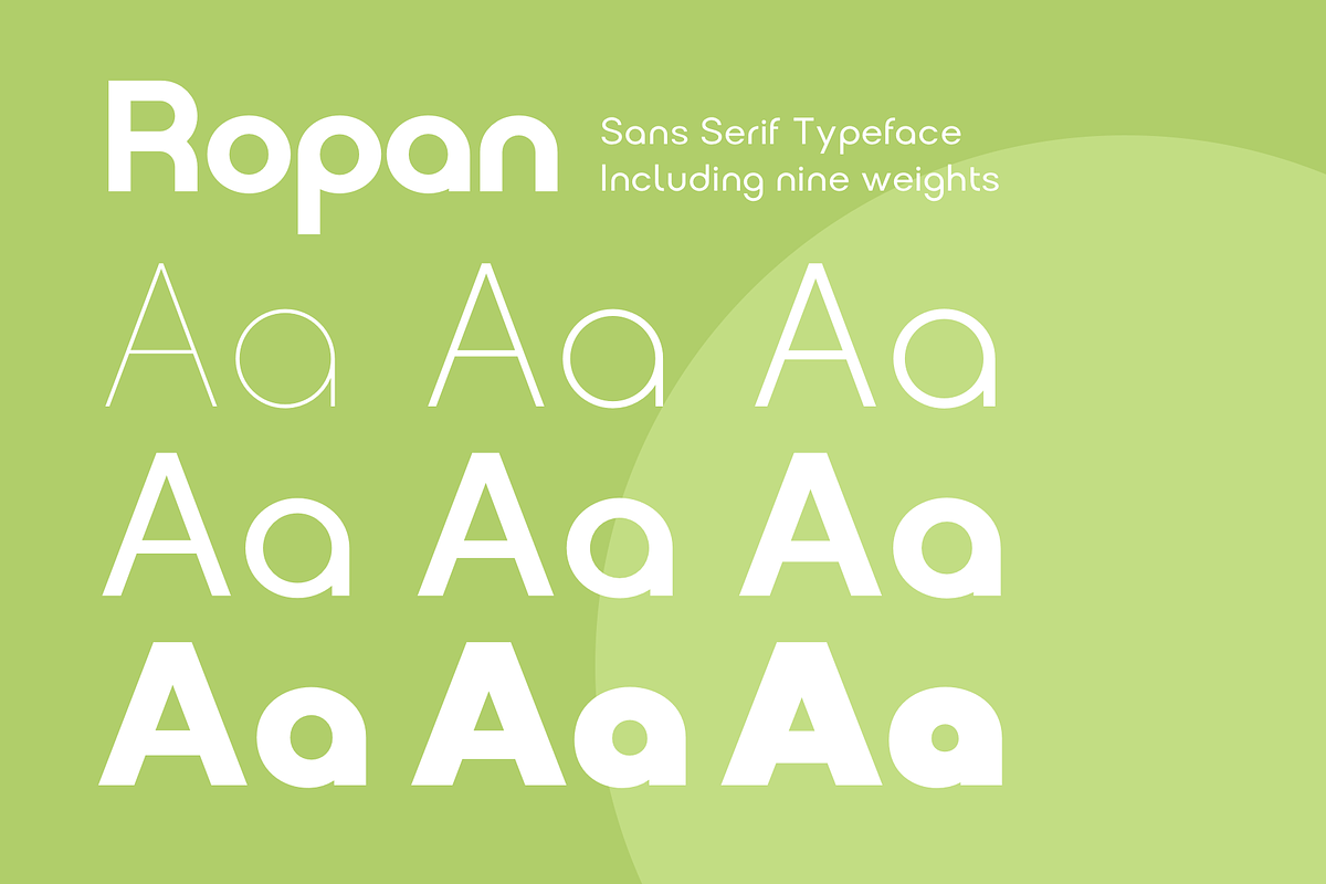 Ropan Font Family, a Sans Serif Font by Larin Type Co. (Photo 3 of 10)