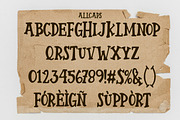 Spinker - Display serif font, a Serif Font by NuType (Thumbnail 6 of 9)