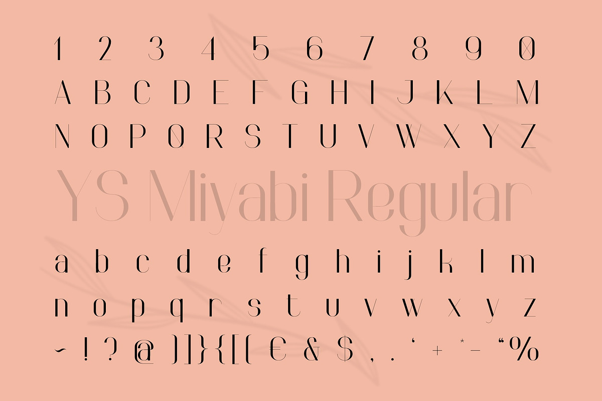 Miyabi Duo Font, a Sans Serif Font by YARARÀ STUDIO (Photo 3 of 10)